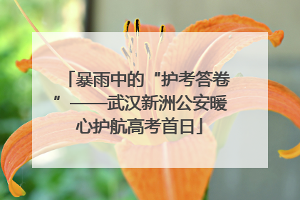 暴雨中的“护考答卷”——武汉新洲公安暖心护航高考首日