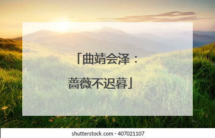 曲靖会泽：蔷薇不迟暮