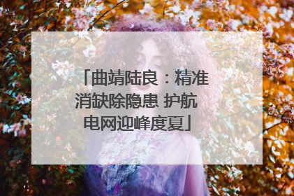 曲靖陆良：精准消缺除隐患 护航电网迎峰度夏