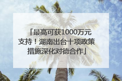 最高可获1000万元支持！湖南出台十项政策措施深化对德合作