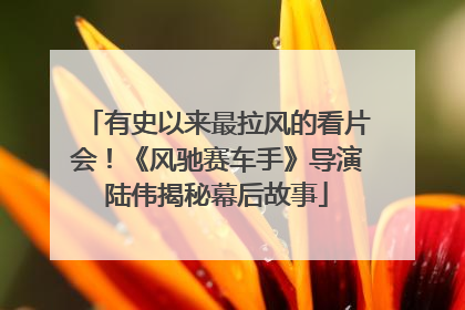 有史以来最拉风的看片会！《风驰赛车手》导演陆伟揭秘幕后故事