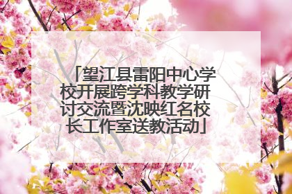 望江县雷阳中心学校开展跨学科教学研讨交流暨沈映红名校长工作室送教活动