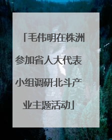 毛伟明在株洲参加省人大代表小组调研北斗产业主题活动