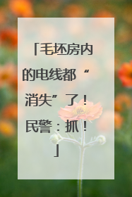 毛坯房内的电线都“消失”了！民警：抓！