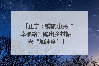 正宁：铺就惠民“幸福路”跑出乡村振兴“加速度”