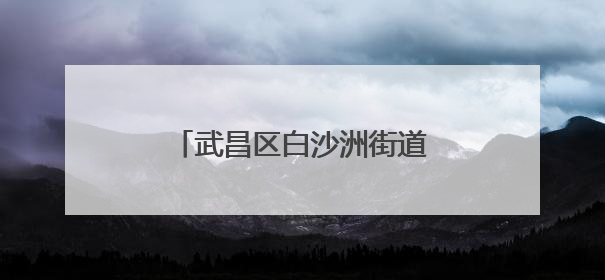 武昌区白沙洲街道：清理沿岸垃圾 “扮靓”长江母亲河