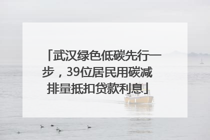 武汉绿色低碳先行一步，39位居民用碳减排量抵扣贷款利息