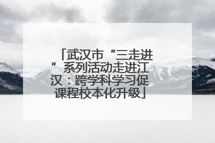 武汉市“三走进”系列活动走进江汉：跨学科学习促课程校本化升级