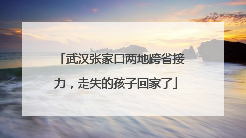 武汉张家口两地跨省接力，走失的孩子回家了