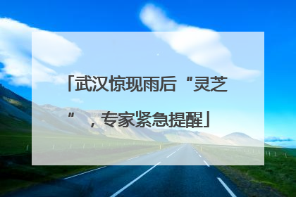 武汉惊现雨后“灵芝”，专家紧急提醒