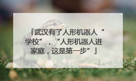 武汉有了人形机器人“学校”，“人形机器人进家庭，这是第一步”