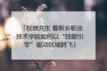 校地共生 看新乡职业技术学院如何以“技能引擎”驱动区域腾飞