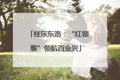 桂东东洛：“红领雁”领航百业兴