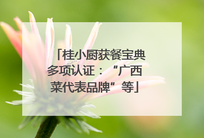 桂小厨获餐宝典多项认证：“广西菜代表品牌”等
