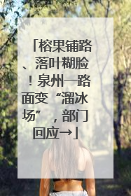 榕果铺路、落叶糊脸！泉州一路面变“溜冰场”，部门回应→