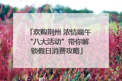 欢购荆州 浓情端午 “八大活动”带你解锁假日消费攻略