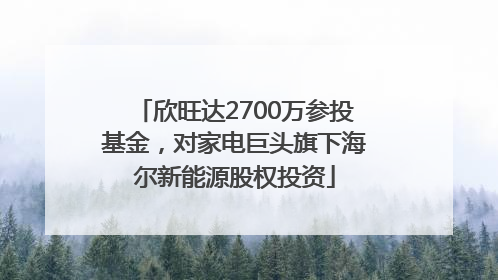 欣旺达2700万参投基金，对家电巨头旗下海尔新能源股权投资