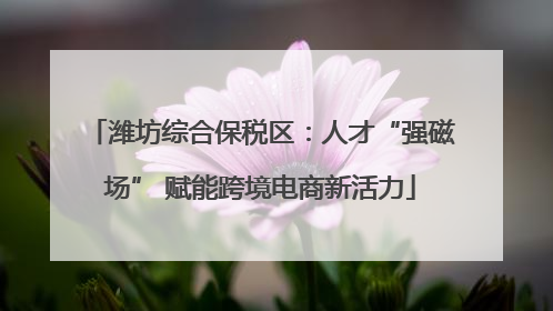 潍坊综合保税区：人才“强磁场” 赋能跨境电商新活力