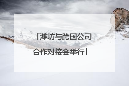 潍坊与跨国公司合作对接会举行