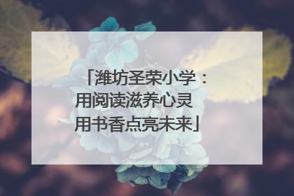 潍坊圣荣小学：用阅读滋养心灵 用书香点亮未来