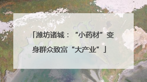 潍坊诸城：“小药材”变身群众致富“大产业”