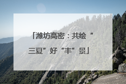 潍坊高密：共绘“三夏”好“丰”景