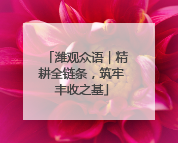 潍观众语｜精耕全链条，筑牢丰收之基