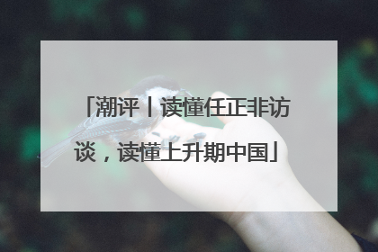 潮评丨读懂任正非访谈，读懂上升期中国