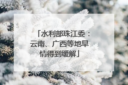 水利部珠江委：云南、广西等地旱情得到缓解