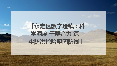 永定区教字垭镇：科学调度 干群合力 筑牢防洪抢险坚固防线