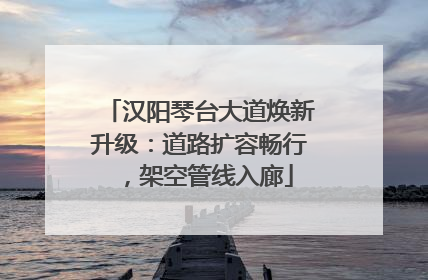 汉阳琴台大道焕新升级：道路扩容畅行，架空管线入廊