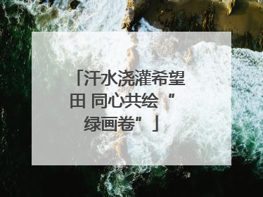 汗水浇灌希望田 同心共绘“绿画卷”
