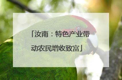 汝南：特色产业带动农民增收致富