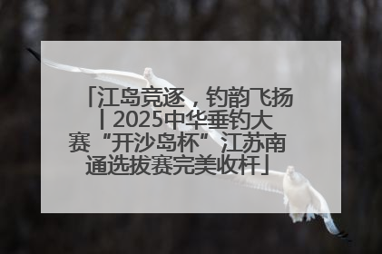 江岛竞逐，钓韵飞扬丨2025中华垂钓大赛“开沙岛杯”江苏南通选拔赛完美收杆
