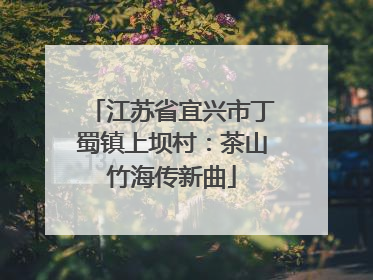 江苏省宜兴市丁蜀镇上坝村：茶山竹海传新曲