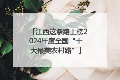 江西这条路上榜2024年度全国“十大最美农村路”