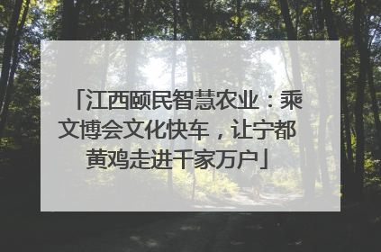 江西颐民智慧农业：乘文博会文化快车，让宁都黄鸡走进千家万户
