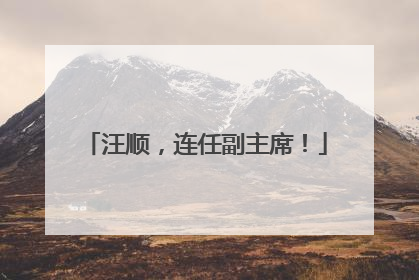 汪顺，连任副主席！