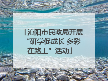 沁阳市民政局开展“研学促成长 多彩在路上”活动