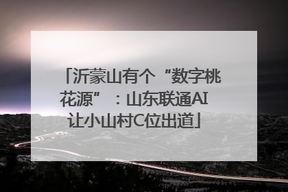 沂蒙山有个“数字桃花源”：山东联通AI让小山村C位出道