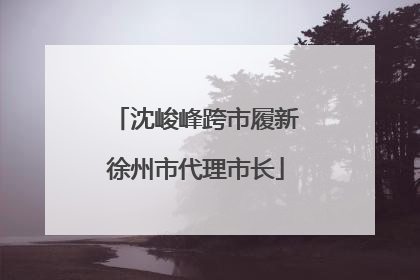 沈峻峰跨市履新徐州市代理市长