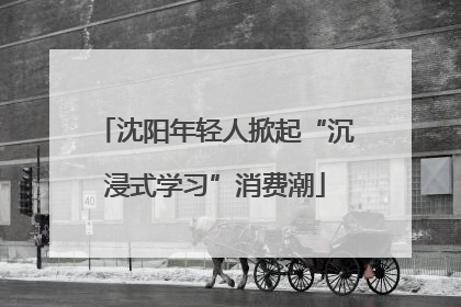 沈阳年轻人掀起“沉浸式学习”消费潮