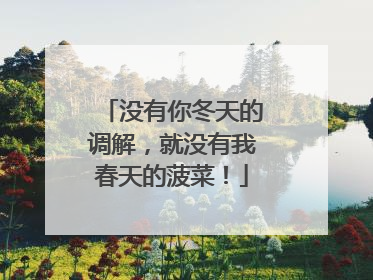 没有你冬天的调解，就没有我春天的菠菜！