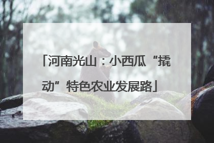 河南光山：小西瓜“撬动”特色农业发展路