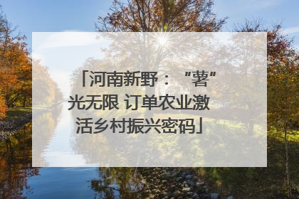 河南新野：“薯”光无限 订单农业激活乡村振兴密码