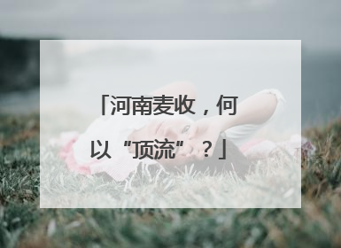 河南麦收，何以“顶流”？