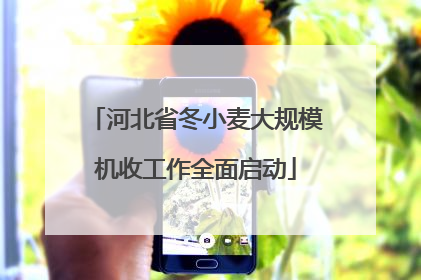 河北省冬小麦大规模机收工作全面启动
