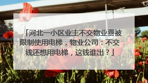 河北一小区业主不交物业费被限制使用电梯，物业公司：不交钱还想用电梯，这钱谁出？