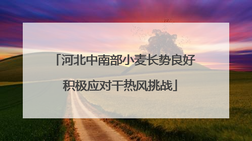 河北中南部小麦长势良好 积极应对干热风挑战