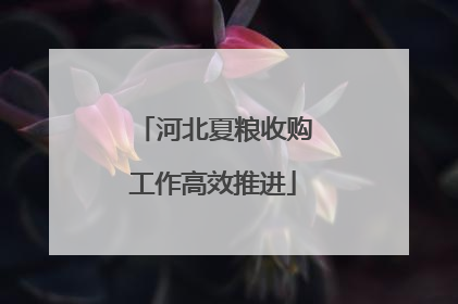 河北夏粮收购工作高效推进
